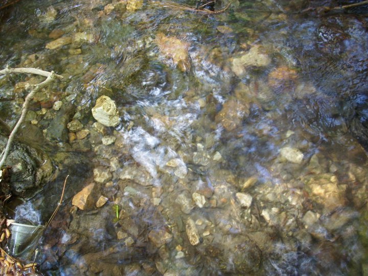 ÃƒÂƒÃ‚ÂƒÃƒÂ‚Ã‚Â–zkan'dan Nif GÃƒÂƒÃ‚ÂƒÃƒÂ‚Ã‚Â¼rlek 15.05.11 - 054.jpg