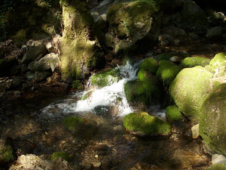 ÃƒÂƒÃ‚ÂƒÃƒÂ‚Ã‚Â–zkan'dan Nif GÃƒÂƒÃ‚ÂƒÃƒÂ‚Ã‚Â¼rlek 15.05.11 - 055.jpg