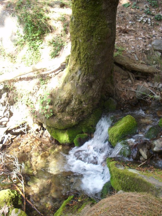 ÃƒÂƒÃ‚ÂƒÃƒÂ‚Ã‚Â–zkan'dan Nif GÃƒÂƒÃ‚ÂƒÃƒÂ‚Ã‚Â¼rlek 15.05.11 - 058.jpg