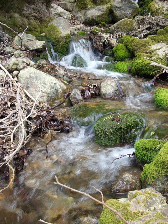 ÃƒÂƒÃ‚ÂƒÃƒÂ‚Ã‚Â–zkan'dan Nif GÃƒÂƒÃ‚ÂƒÃƒÂ‚Ã‚Â¼rlek 15.05.11 - 060.jpg