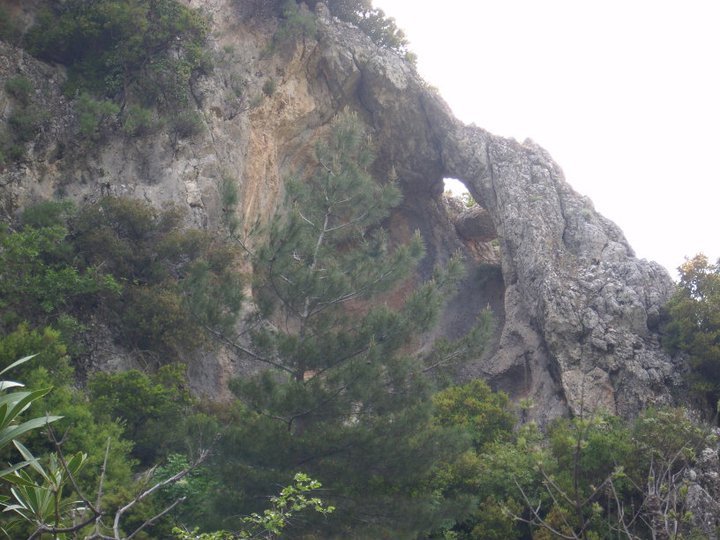 ÃƒÂƒÃ‚ÂƒÃƒÂ‚Ã‚Â–zkan'dan Nif GÃƒÂƒÃ‚ÂƒÃƒÂ‚Ã‚Â¼rlek 15.05.11 - 062.jpg