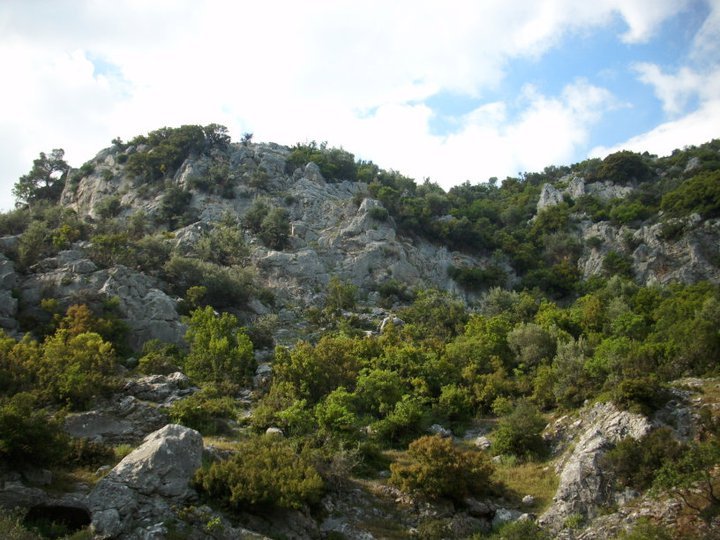 ÃƒÂƒÃ‚ÂƒÃƒÂ‚Ã‚Â–zkan'dan Nif GÃƒÂƒÃ‚ÂƒÃƒÂ‚Ã‚Â¼rlek 15.05.11 - 063.jpg