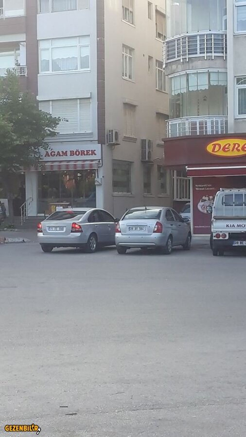agam4.jpg