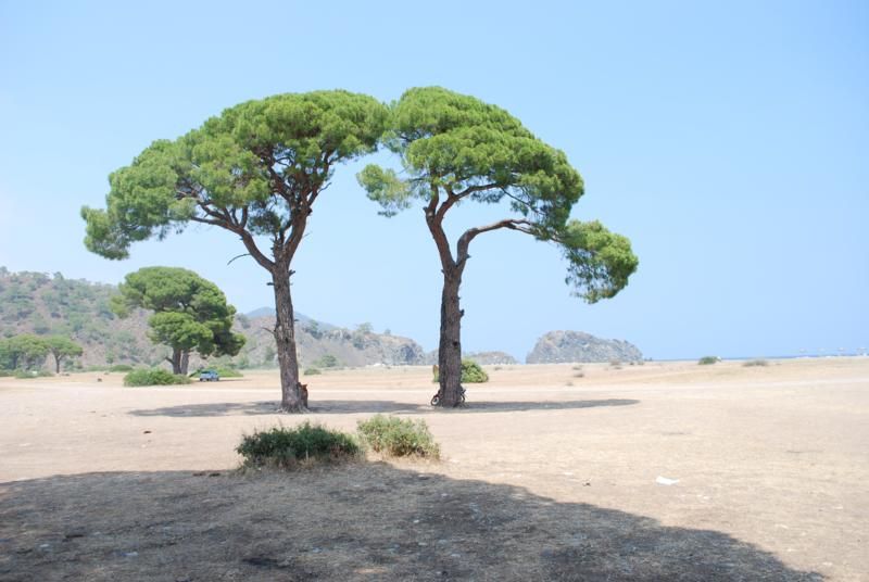 ah ah  ÃƒÂƒÃ‚ÂƒÃƒÂ‚Ã‚Â§ÃƒÂƒÃ‚Â„ÃƒÂ‚Ã‚Â±ralÃƒÂƒÃ‚Â„ÃƒÂ‚Ã‚Â±_800x536.jpg