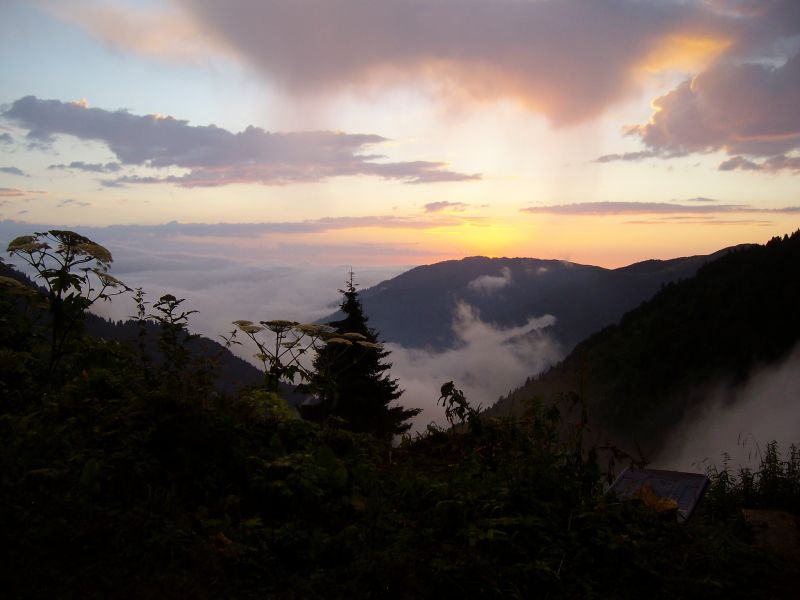 ahmet albay 2010 062.jpg
