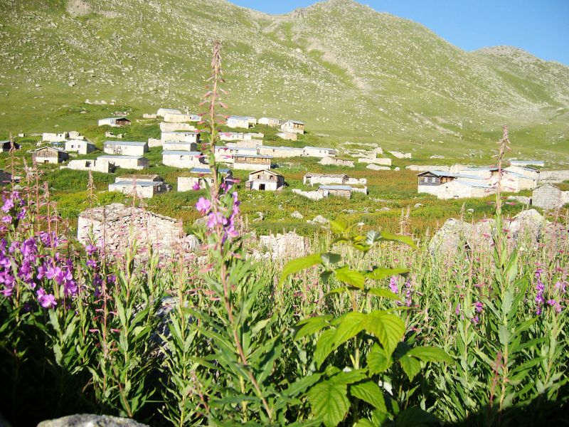 ahmet albay 2010 217.jpg