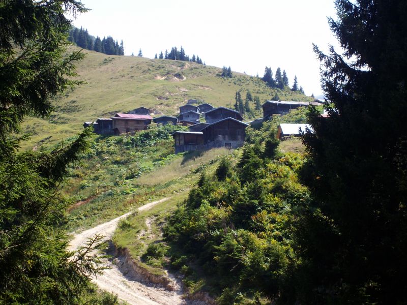 ahmet albay 2010 753.jpg
