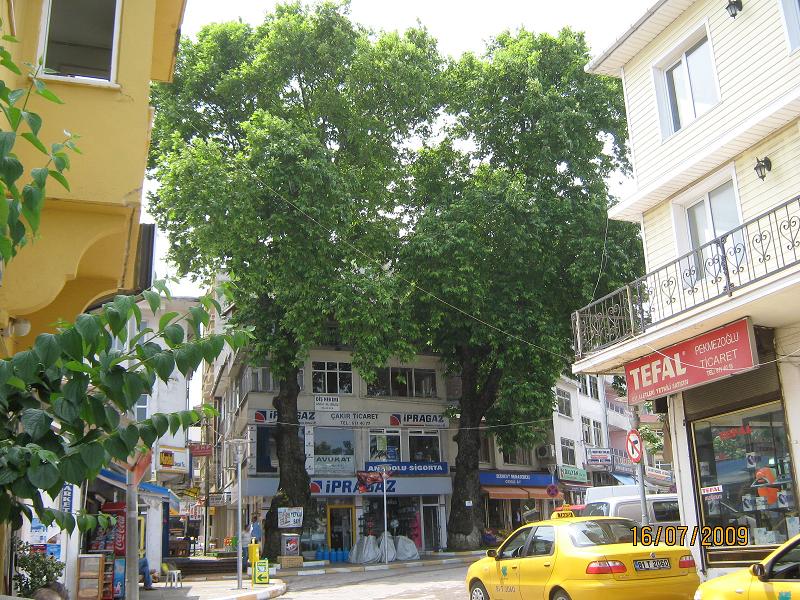 AkÃƒÂƒÃ‚ÂƒÃƒÂ‚Ã‚Â§akoca 1.jpg
