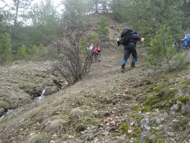 aksak20004.jpg
