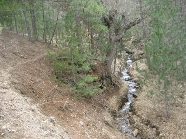 aksak20007.jpg