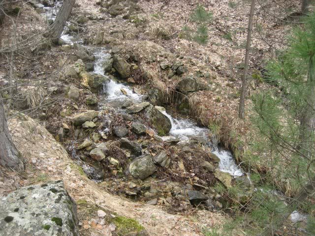 aksak20008.jpg