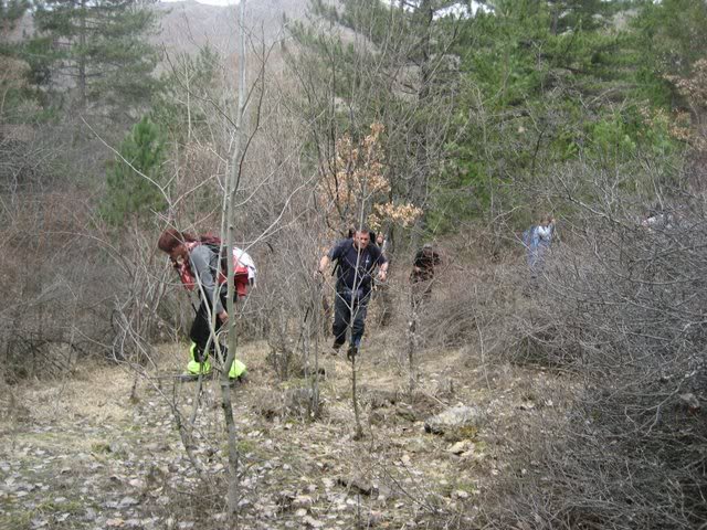 aksak20009.jpg