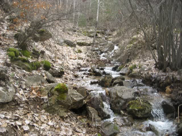 aksak20010.jpg