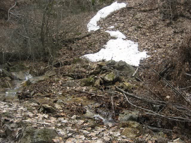 aksak20013.jpg