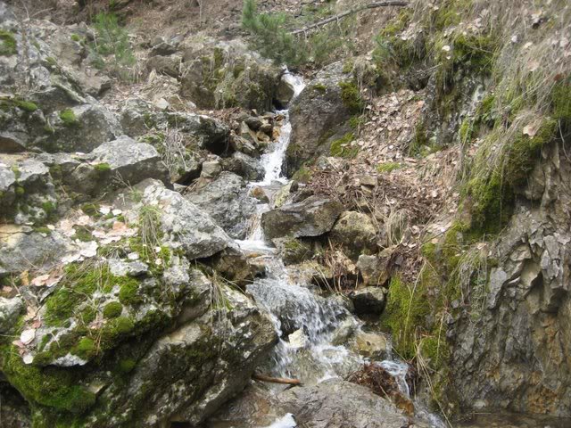 aksak20015.jpg