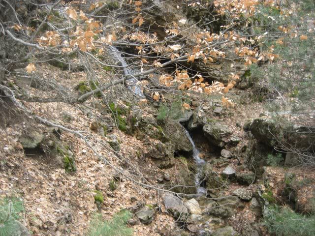 aksak20017.jpg
