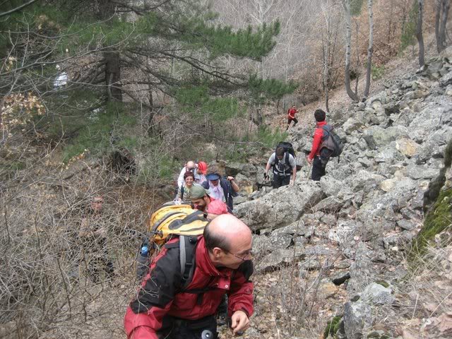 aksak20023.jpg