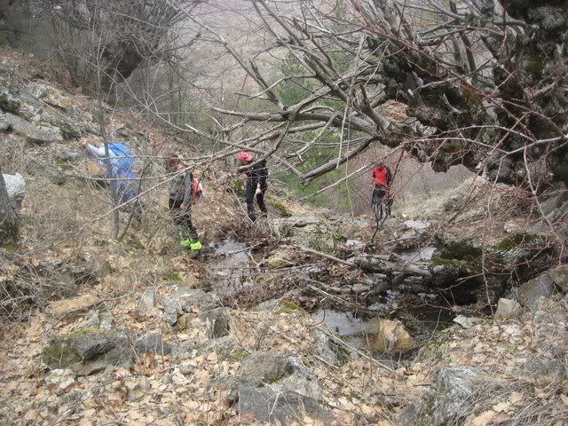 aksak20024.jpg