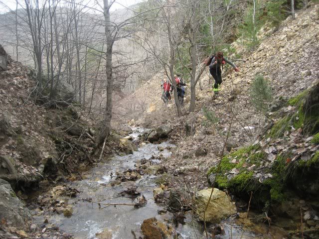 aksak20026.jpg