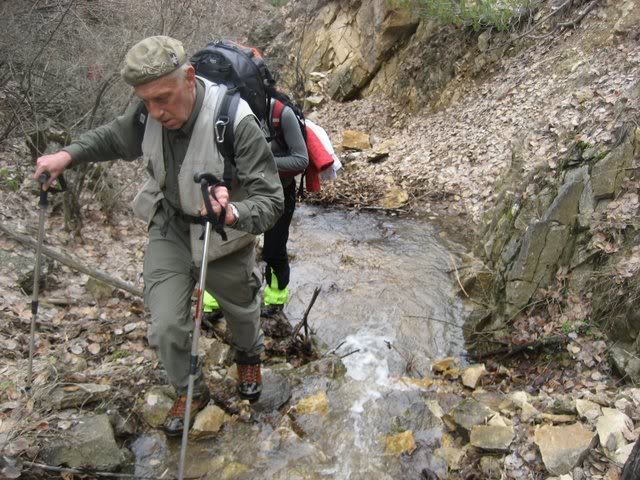 aksak20029.jpg