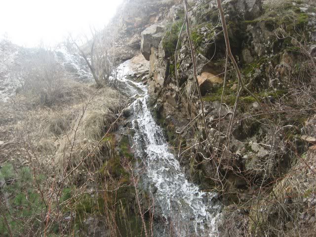aksak20037.jpg