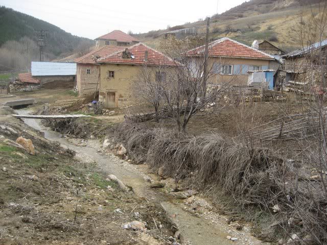 aksak20043.jpg