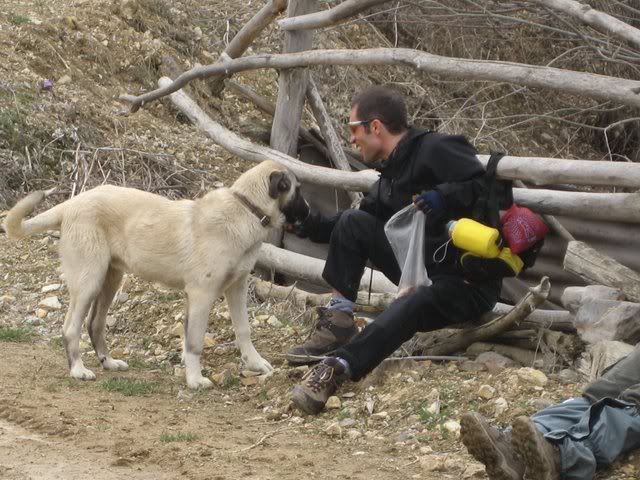 aksak20058.jpg