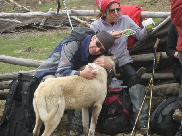 aksak20060.jpg