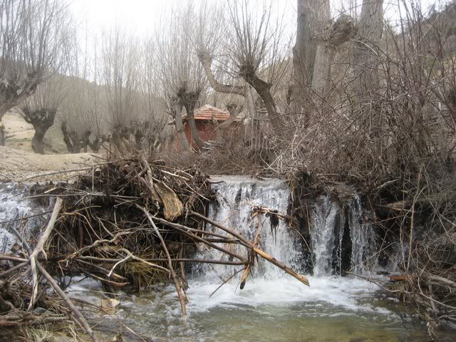 aksak20064.jpg