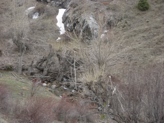 aksak20065.jpg