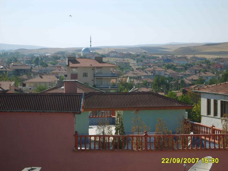 Alaca ilÃƒÂƒÃ‚ÂƒÃƒÂ‚Ã‚Â§esi 02.jpg