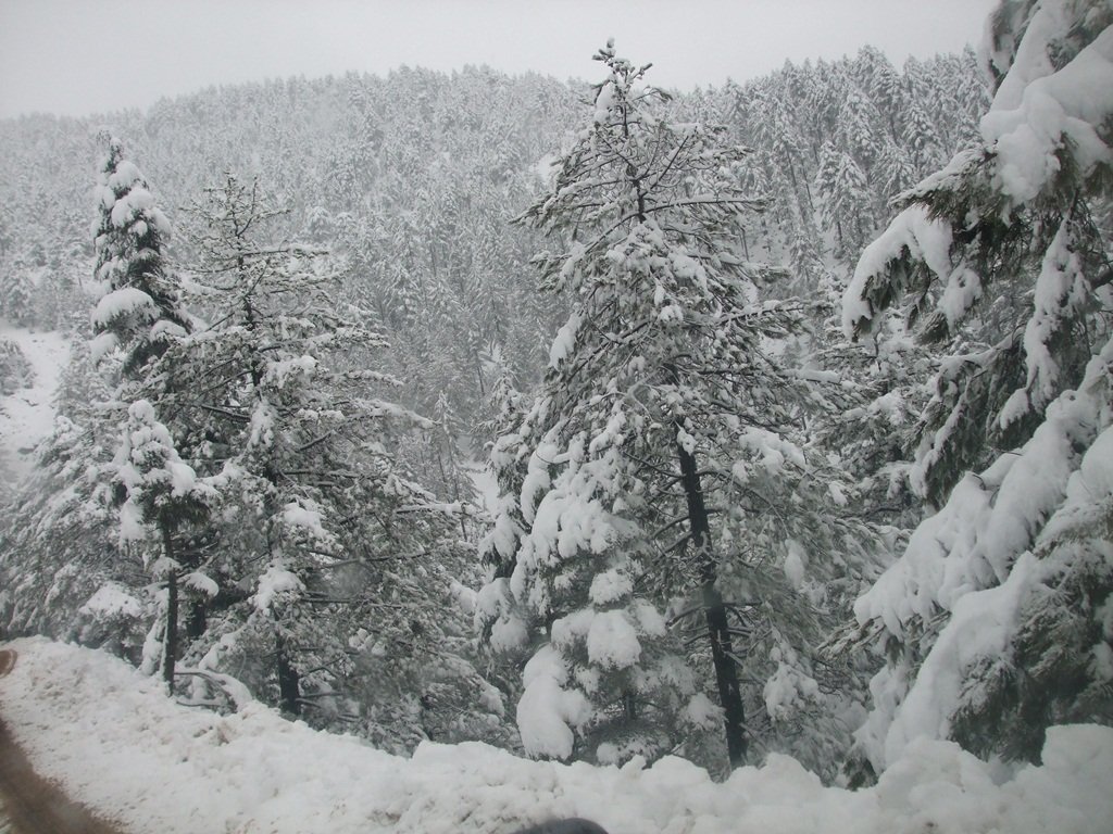 aladaÃƒÂƒÃ‚Â„ÃƒÂ‚Ã‚ÂŸ 055.JPG