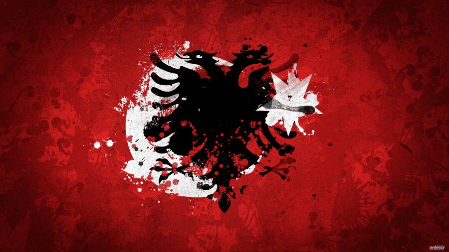 albanian_turkish_friendship_by_ay_deezy-d4l95og.jpg