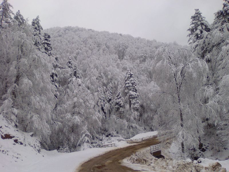 Album-0026.jpg