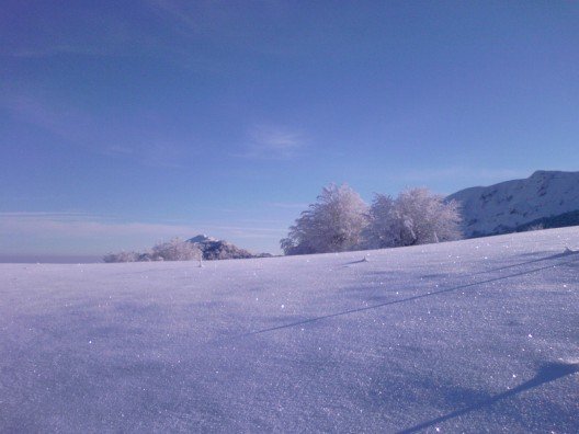 Album-0031 (528 x 396).jpg