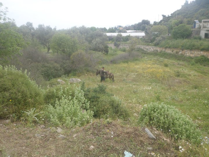 Ali AÃƒÂƒÃ‚Â„ÃƒÂ‚Ã‚ÂŸabeyden 004.jpg