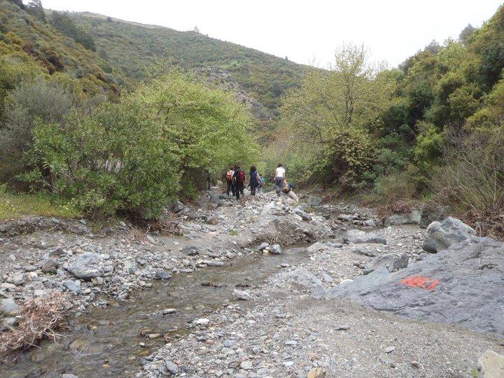 Ali AÃƒÂƒÃ‚Â„ÃƒÂ‚Ã‚ÂŸabeyden 013.JPG