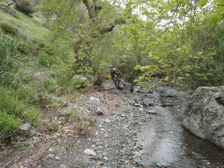 Ali AÃƒÂƒÃ‚Â„ÃƒÂ‚Ã‚ÂŸabeyden 015.jpg