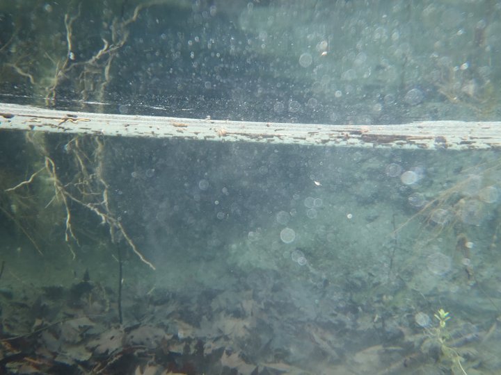 Ali AÃƒÂƒÃ‚Â„ÃƒÂ‚Ã‚ÂŸabeyden 019.jpg