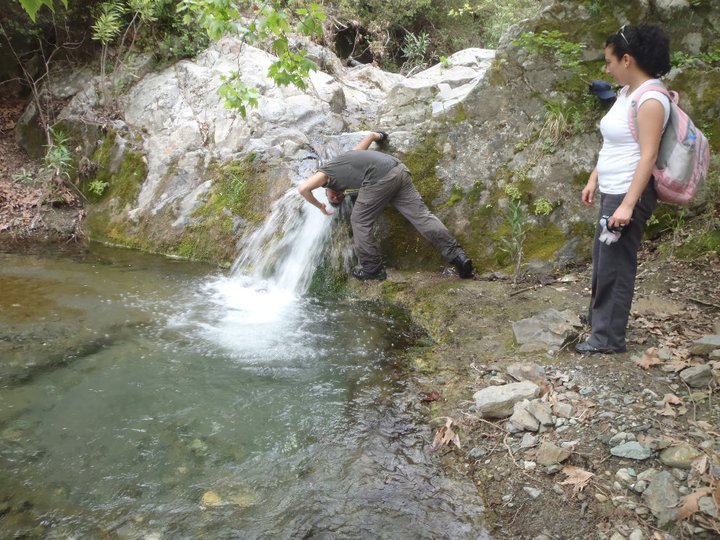 Ali AÃƒÂƒÃ‚Â„ÃƒÂ‚Ã‚ÂŸabeyden 022.jpg