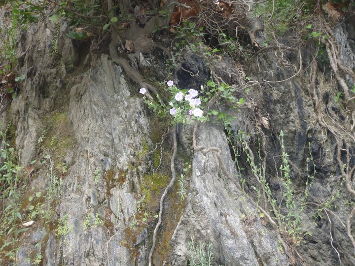 Ali AÃƒÂƒÃ‚Â„ÃƒÂ‚Ã‚ÂŸabeyden 023.jpg