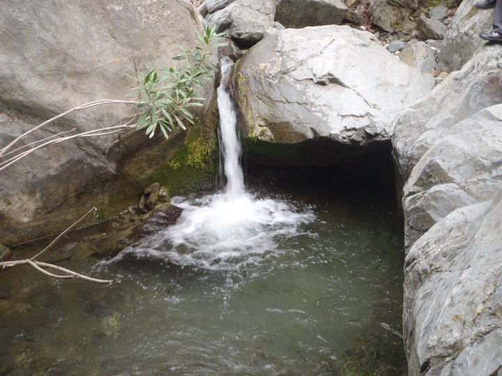 Ali AÃƒÂƒÃ‚Â„ÃƒÂ‚Ã‚ÂŸabeyden 024.jpg