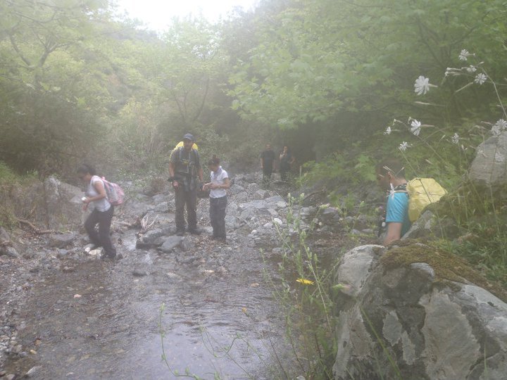 Ali AÃƒÂƒÃ‚Â„ÃƒÂ‚Ã‚ÂŸabeyden 028.jpg