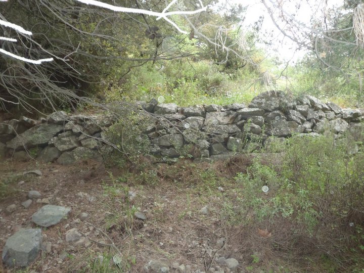 Ali AÃƒÂƒÃ‚Â„ÃƒÂ‚Ã‚ÂŸabeyden 030.jpg