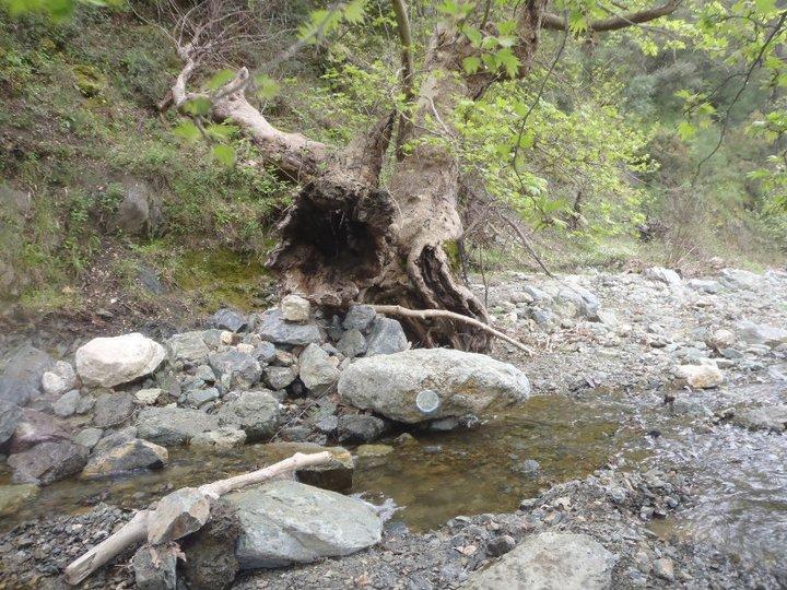 Ali AÃƒÂƒÃ‚Â„ÃƒÂ‚Ã‚ÂŸabeyden 036.JPG