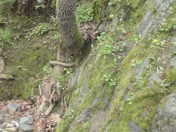 Ali AÃƒÂƒÃ‚Â„ÃƒÂ‚Ã‚ÂŸabeyden 037.jpg