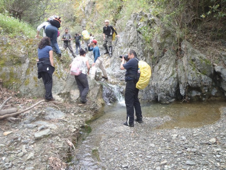 Ali AÃƒÂƒÃ‚Â„ÃƒÂ‚Ã‚ÂŸabeyden 042.jpg