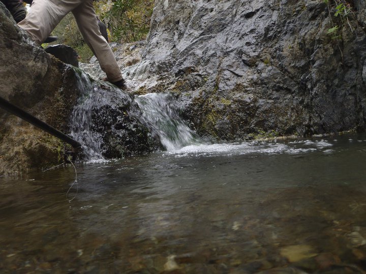 Ali AÃƒÂƒÃ‚Â„ÃƒÂ‚Ã‚ÂŸabeyden 043.jpg