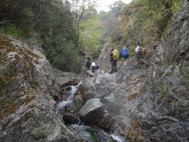 Ali AÃƒÂƒÃ‚Â„ÃƒÂ‚Ã‚ÂŸabeyden 044.jpg