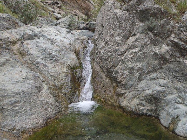 Ali AÃƒÂƒÃ‚Â„ÃƒÂ‚Ã‚ÂŸabeyden 057.JPG